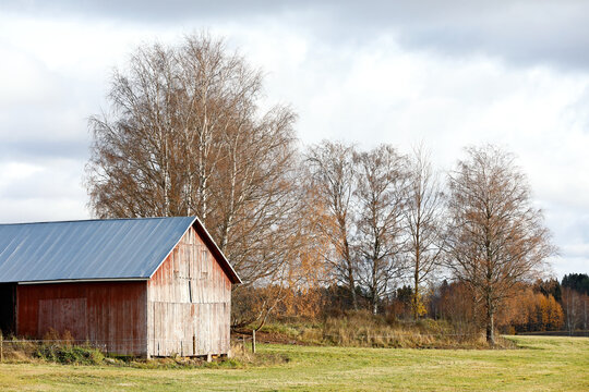 An old barn and leafless trees on a corner of a field