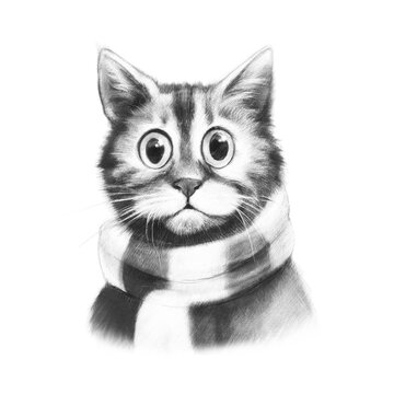 Сute sad cat with big eyes and in a scarf. Autumn and winter come concept. Black and white pencil and charcoal hand drawing. Sketch. Cartoon retro style