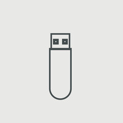 Flash storage memory vector icon illustration sign