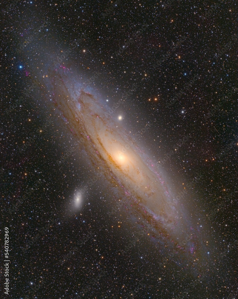 Wall mural the great andromeda galaxy