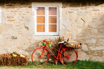Fototapeta na wymiar bicycle with pumpkins decor for Halloween