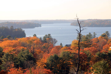 Naklejka na ściany i meble Fall landscape with colorful trees and lake