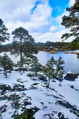 lake on winter with trees covered of snow in arareco lake, creel chihuahua  - obrazy, fototapety, plakaty
