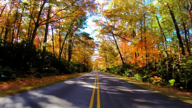 driving down the Blue Ridge Parkway, North Carolina on sunny autumn day. Vibrant fall park forest