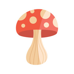 fungus plant garden nature