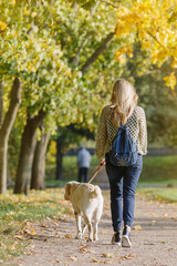 Young blonde is walking in the park with a labrador dog in the fall.