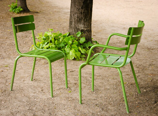 Dialogue. Two chairs facing each other in Tuileries garden. Paris, France.  - obrazy, fototapety, plakaty