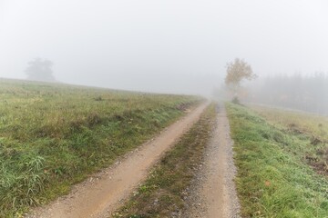 Fototapeta na wymiar Countryside dirt road in foggy winter morning in Czech Republic. Country road in the fog. Autumn foggy landscape. Dream landscape.
