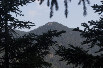 sunrise in the mountains