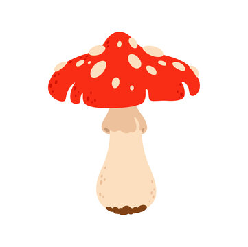 Fly agaric inedible fungi, cartoon icon. Vector poison fungus with red cap and white dots. Halloween symbol, potion ingredient poison food