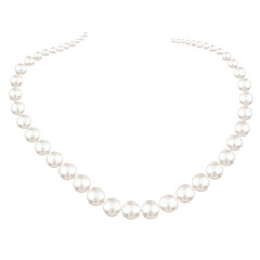 Pearl necklace. Jewelry. Decoration. Isolated. Vector. Beautiful illustration. White background.