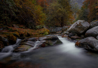 Long exposure of mountain river with autumn colors, foliage. Italian Alps.