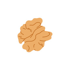 Walnut kernel isolated nutwood wrinkled edible seed cartoon icon. Vector whole kernel fruit, brown nut vegetarian snack, superfood edible drupe