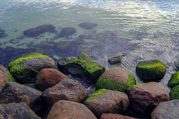 Moss-covered stones sticking out of the water in Poland