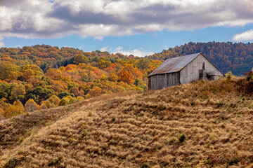 barn in autumn