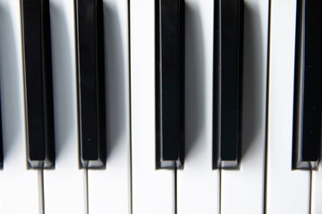 Naklejka premium white and black piano wedge with shadow