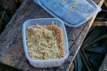 A plastic container with sawdust and maggots on a wooden bridge. Bait for fishing.