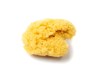 Natural Sponge Isolated