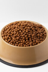 Fototapeta premium A bowl with nutritive dry pet food. Copy space.