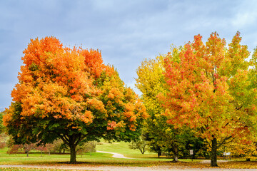 Arborertum in fall