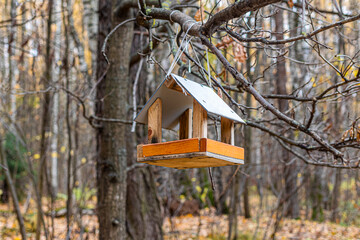 Wooden bird feeder in the autumn park