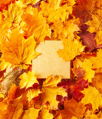 Naklejka na ściany i meble Autumn concept - background of dry fallen autumn maple leaves with space for text in the middle - square golden podium surrounded by autumn leaves, copy space