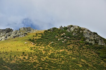Localiza&ccedil;&atilde;o : Picos da Europa, Espanha
