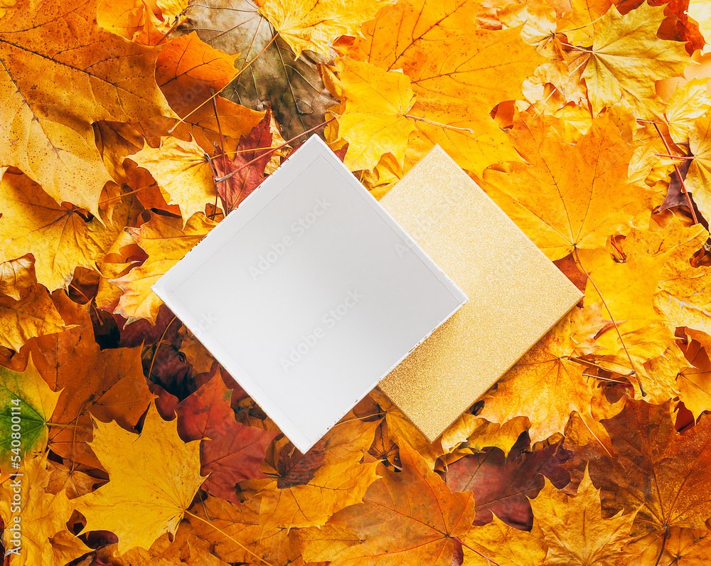 Canvas Prints autumn concept - background of dry fallen autumn leaves with an open gift box in the middle