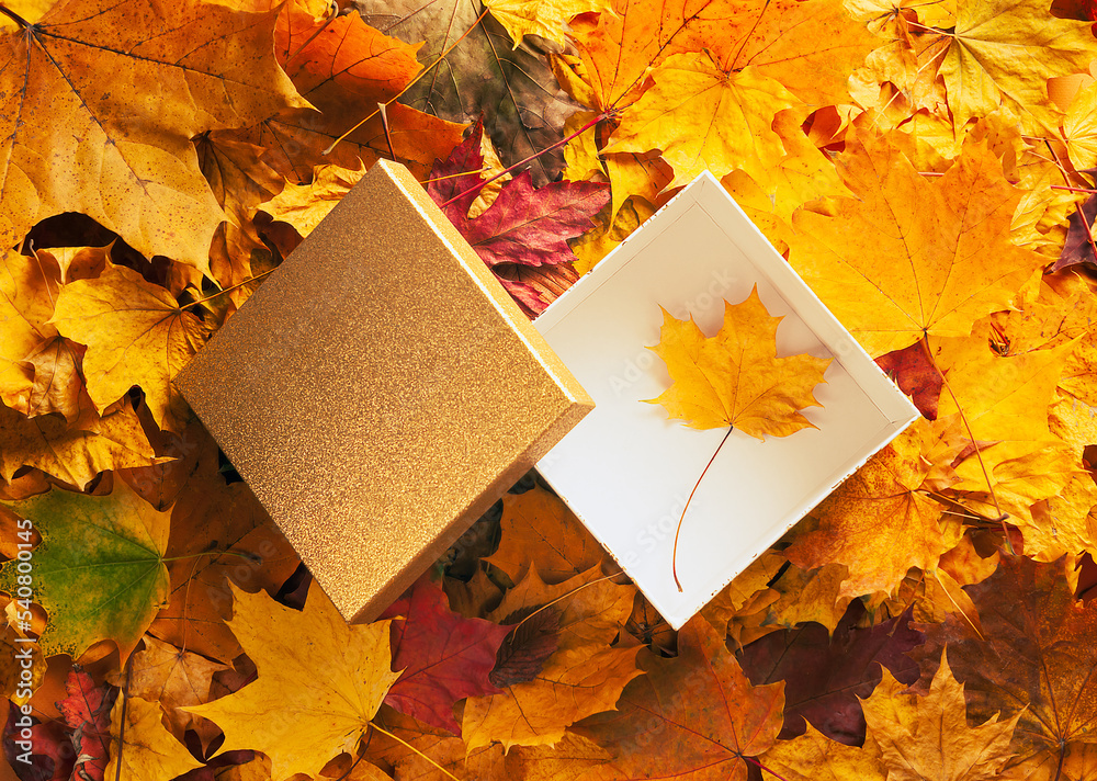 Canvas Prints autumn concept - background of dry fallen autumn leaves with an open gift box in the middle. the box
