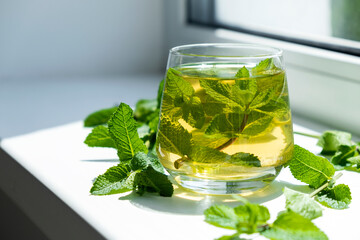 Lemonade or mint cocktail in glass with fresh mint leaves around. Cold refreshing drink.
