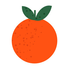 Orange fruit. Vector cute illustration on isolated background. 
