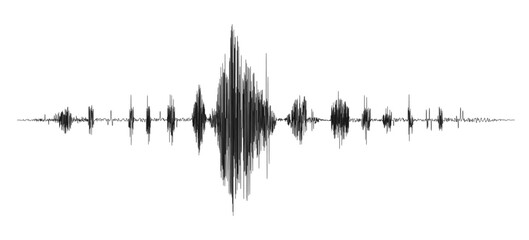 Seismograph wave of earthquake or volcano eruption. Vector waveform of frequency seismic activity, quake vibration audio sound record with black graph or chart of seismometer seismogram soundwave