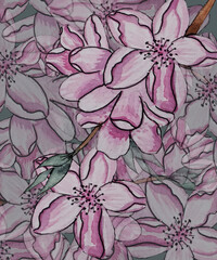 watercolor drawing pink flowers on a tree branch bloomed in spring at night and during the day apple tree,cherry,apricot,sakura summer light pattern