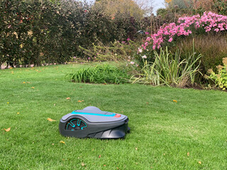 Robotic lawn mower. Robotic lawn mower on a green lawn on an autumn day. The robotic lawnmower is...