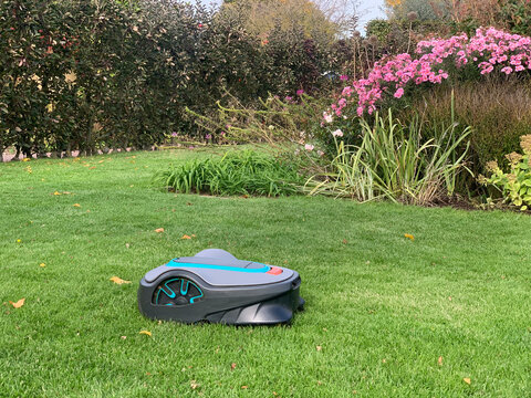 Robotic lawn mower. Robotic lawn mower on a green lawn on an autumn day. The robotic lawnmower is the perfect solution for cutting ornamental lawns