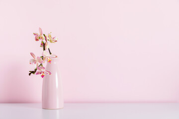 Beautiful flowers composition. Bouquet pink orchids in vase on table. Pink phalaenopsis orchid flower on pastel pink background. Concept Valentines Day, Happy Women's Day, March 8. 