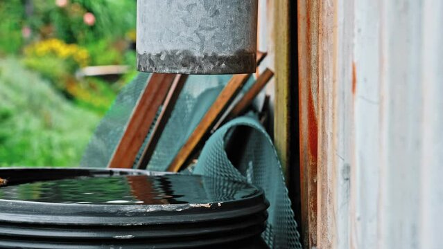 Drops of Water Dripping from Plastic Gutter into Overflowing Plastic Barrel Reservoir for Collecting Rainwater