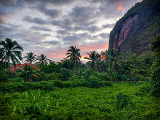 Fototapeta na wymiar Sunset with palms and rocks in Harau Valley, Sumatra, Indonesia