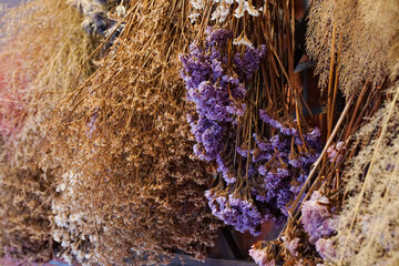 A variety of beautiful dried plants hanging