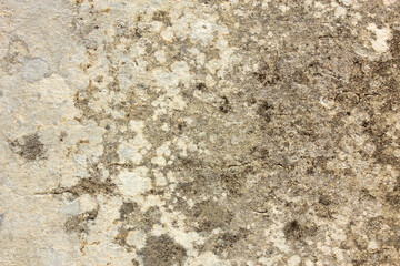 Old wall with shabby damaged plaster. Texture, pattern, background. Copy space.