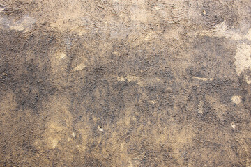 Structural rough plaster on wall. Texture, pattern, background. Copy space.
