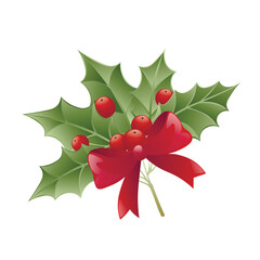 Green mistletoe on white background