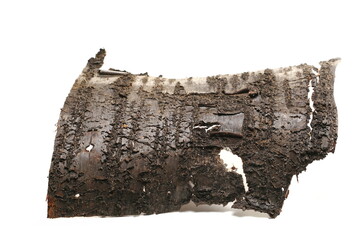 Tree rotten cherry bark roll isolated on white  