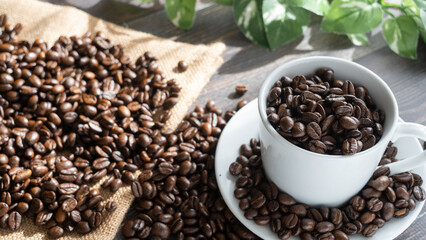 コーヒー豆と陽のあたる部屋