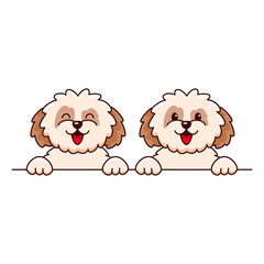 Two cute shih tzu dogs smiling on white background. Cartoon vector illustration
