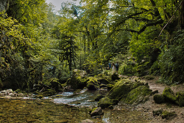 River flowing through the heavily forested Gorges de l'Abîme, Saint-Claude, Jura, France. Clear stream with a beautiful footpath though green, unspoiled forest.
