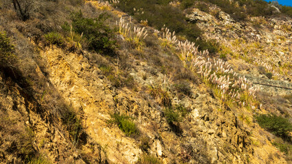 Partington Cove in Julia Pfeiffer State Park, Big Sur, California