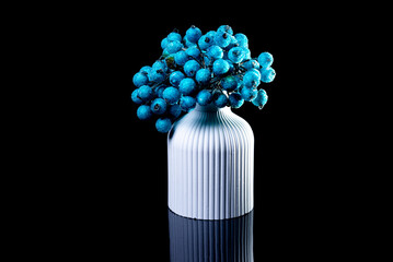 white vase with blue berries in ice with reflection, black background isolated,