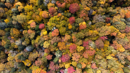 Fall color - West Virginia