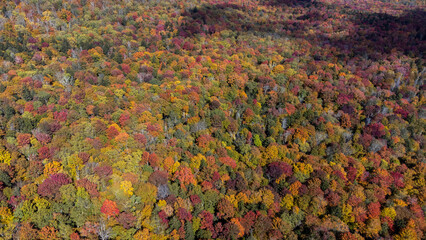 Fall color - West Virginia